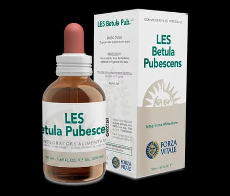 Les Betula Pubescens Drops50Ml
