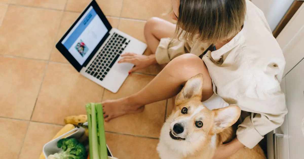 Les avantages des courses en ligne versus en supermarché