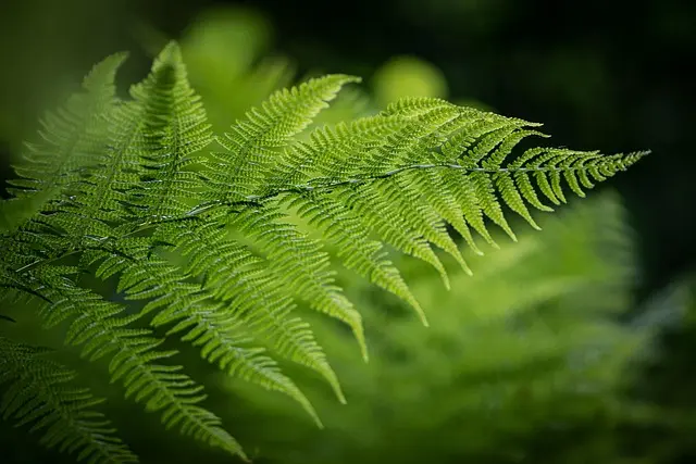 Les nouvelles gammes bio à découvrir dans votre supermarché