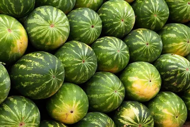 Comment choisir les meilleurs produits de saison au supermarché