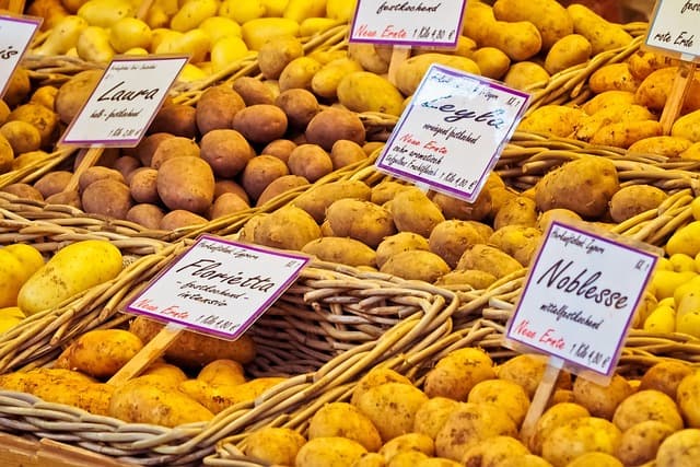 Les meilleures stratégies pour faire des courses durables
