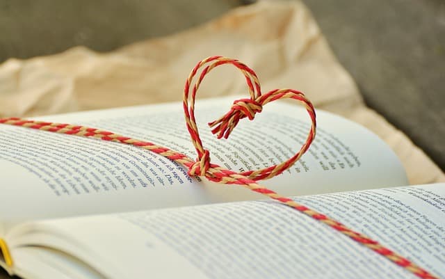 Comment optimiser votre budget de courses au supermarché