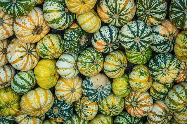 Comment choisir les meilleurs produits de saison au supermarché
